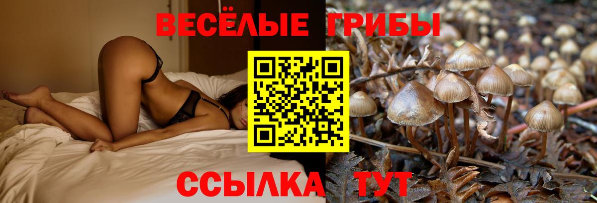 Лесосибирск  Псилоцибиновые грибы мухоморы  что такое наркотик  Вход с VPN  Псилоцибиновые грибы прущие грибы 